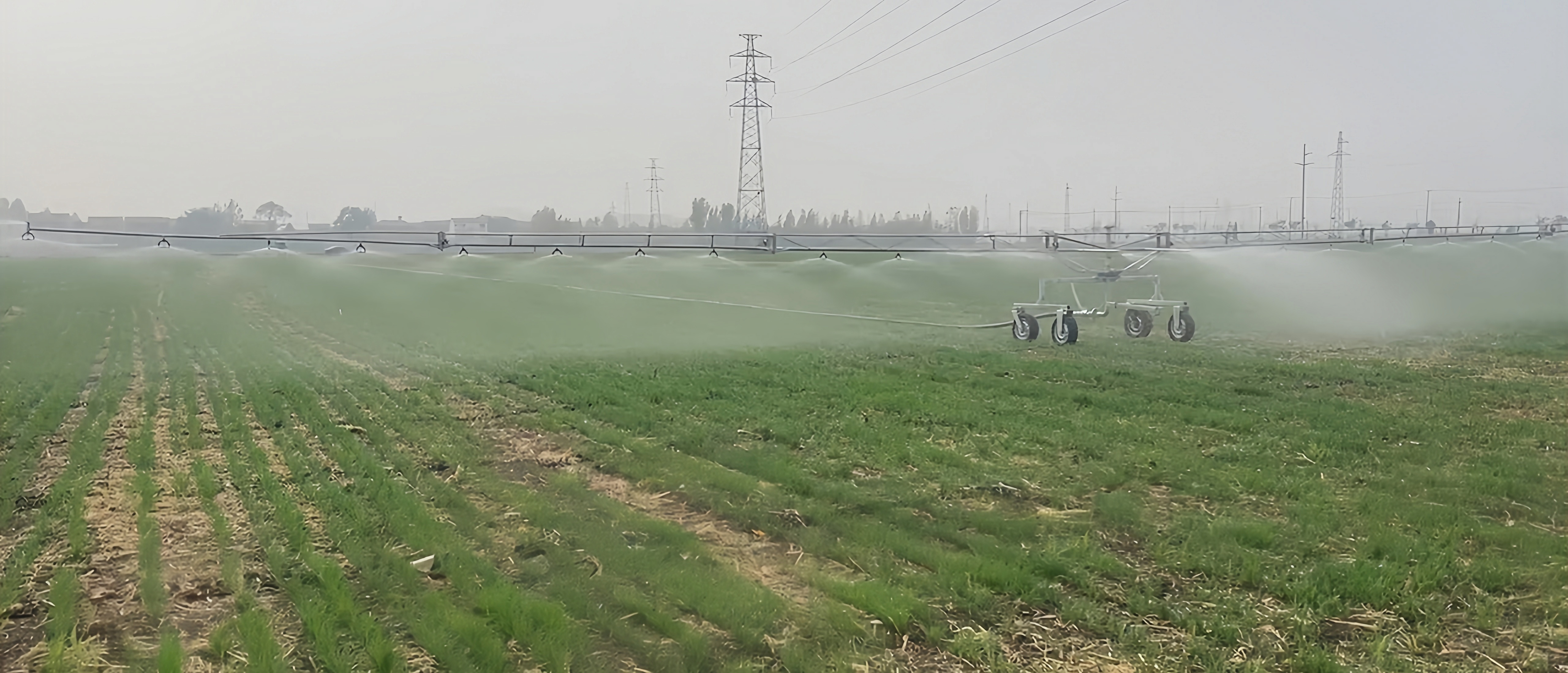JP75D/JP90D Spray boom irrigator