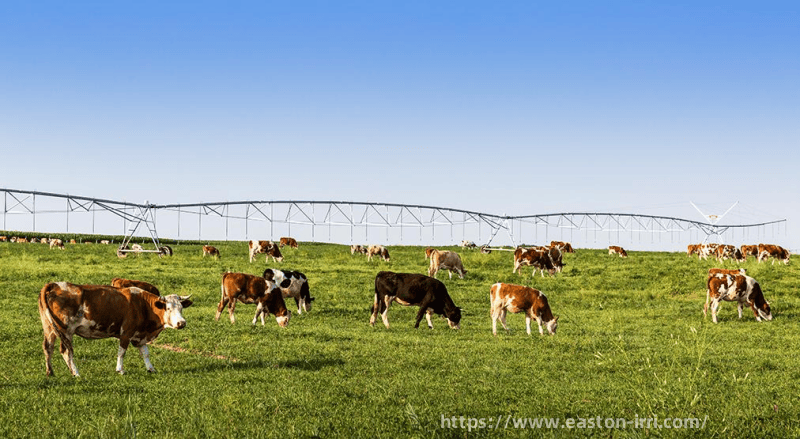 ‌Pasture Irrigation