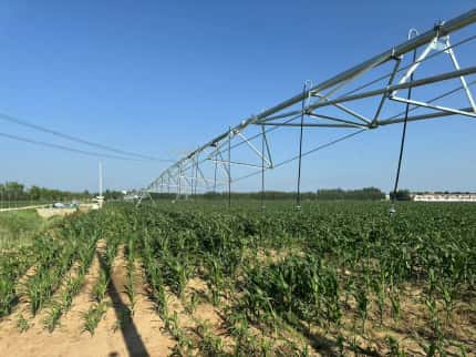 Linear/ Lateral Irrigation System