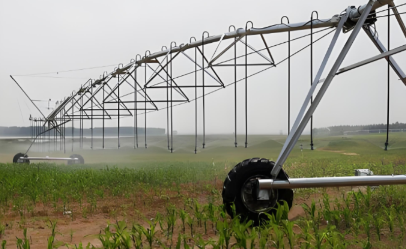 Irrigation 67.64 hectares land