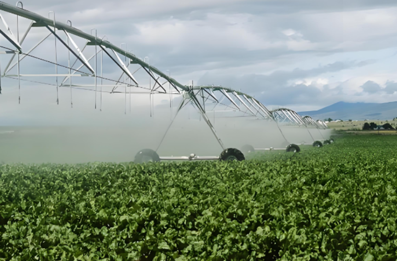 Irrigation 67.64 hectares land
