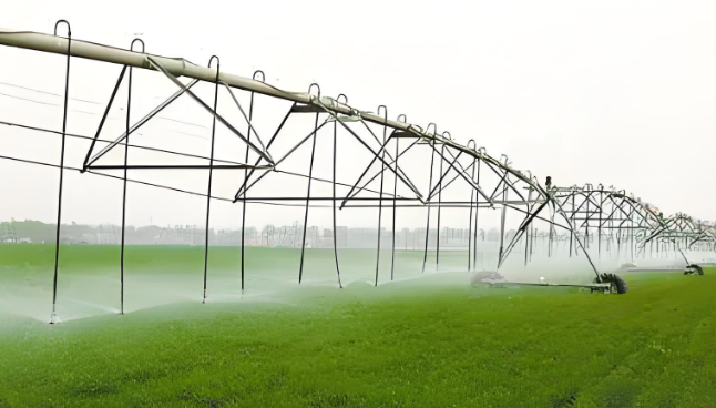 Irrigation 67.64 hectares land