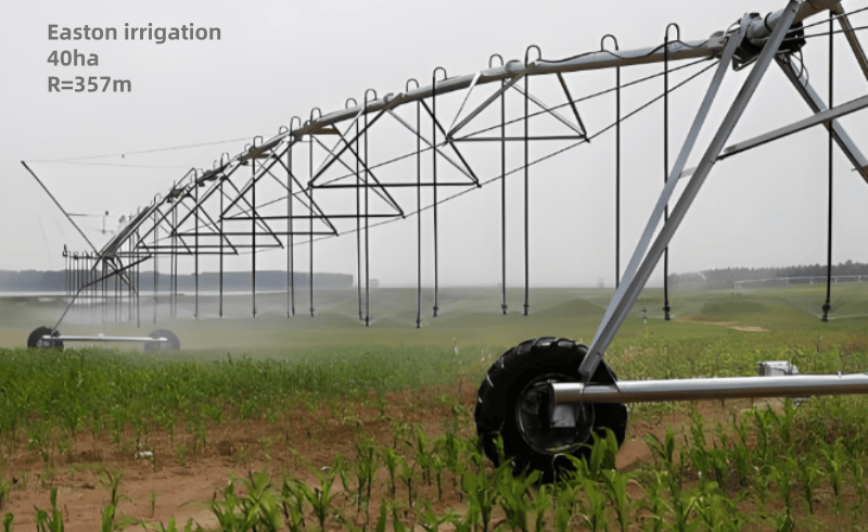 Irrigation 40 hectares land	