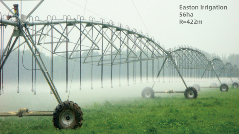 Irrigation 56 hectares land