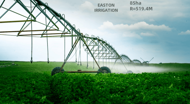 Irrigation 85 hectares land