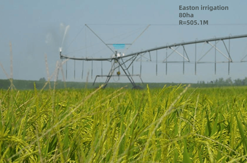 Irrigation 80 hectares land	