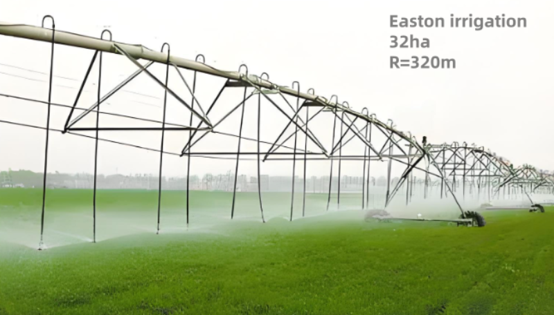 Irrigation 32 hectares land