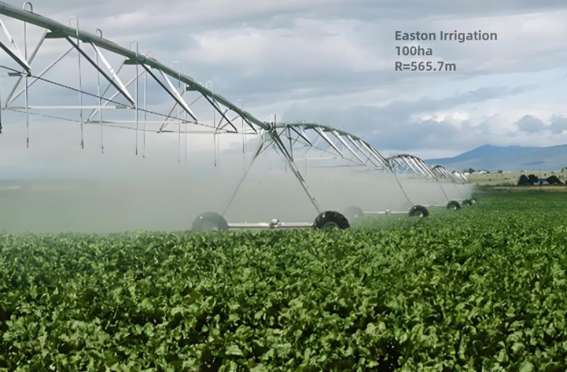 Irrigation 100 hectares land