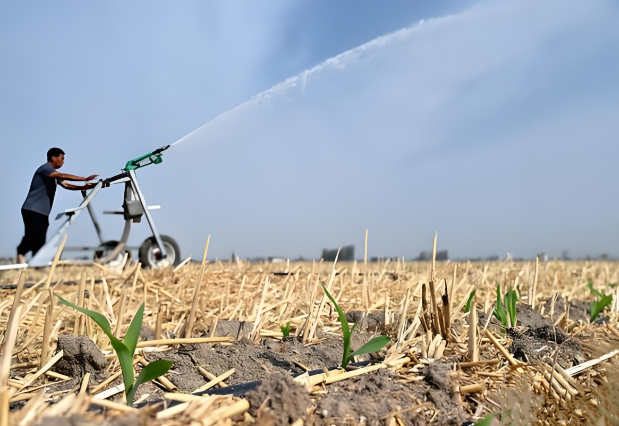 Hose Reel Irrigation System with Turbine Rain Gun: The Ideal Solution for Seedling Irrigation