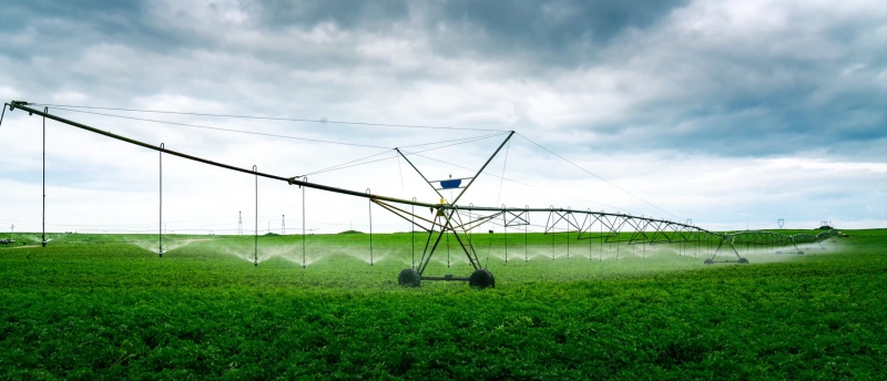 Potato Planting Solution