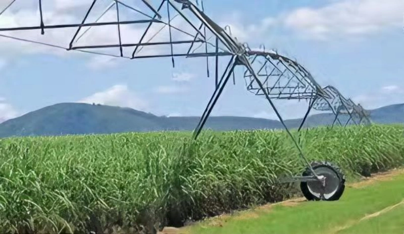 Sugarcane Irrigation Solution