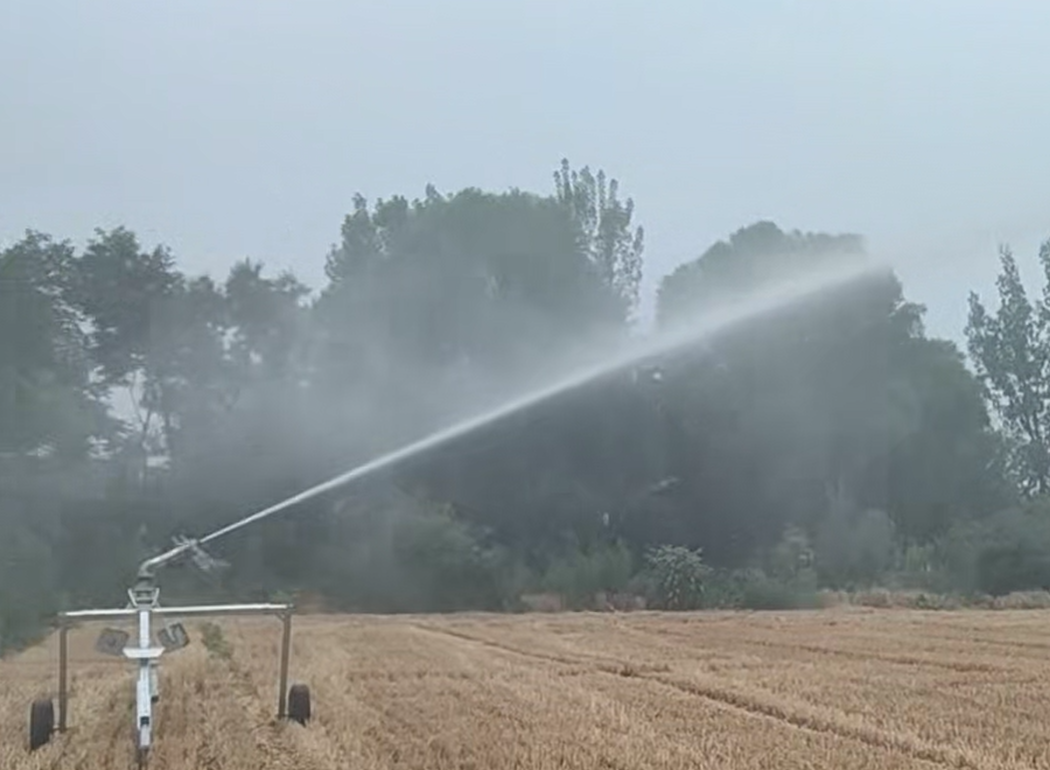 Hose Reel Irrigation Buying Guide | How to Choose the Right Model